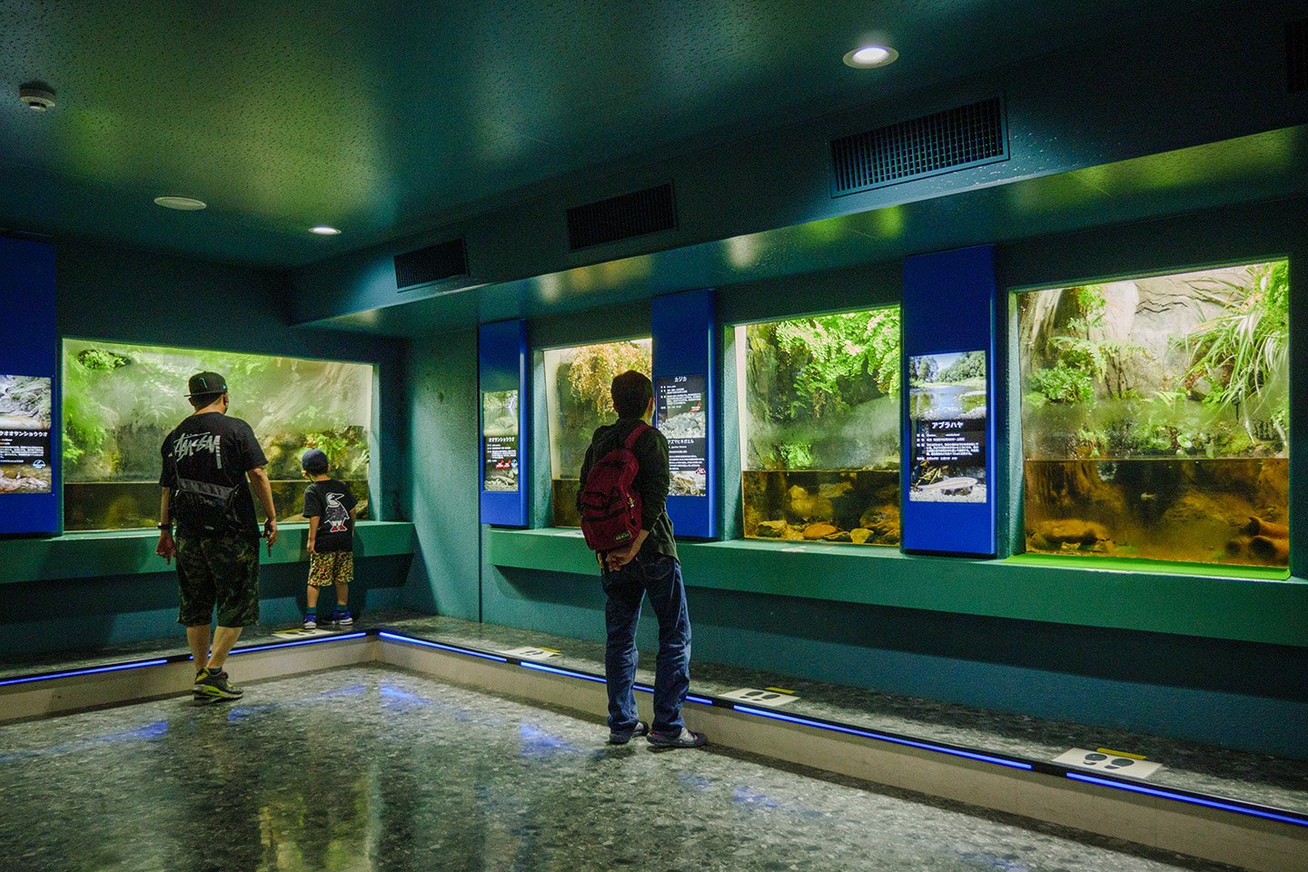 🐠 사이타마 수족관(사이타마 스이조쿠칸) 이미지 11